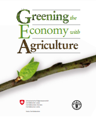 Greening the Economy with Agriculture (GEA)